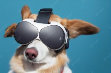 funny-dog-wearing-vr-headset-looking-upward-studio-photography-copy-space-cute-dogs-human-acti...jpg