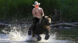 rides-a-bear.jpeg
