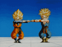 IMG_5966.gif
